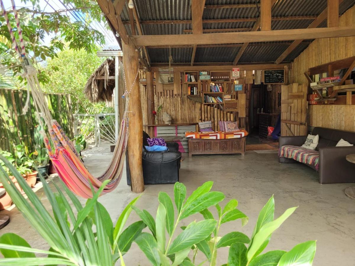 Roots Family Hostel Puerto Viejo de Talamanca ภายนอก รูปภาพ