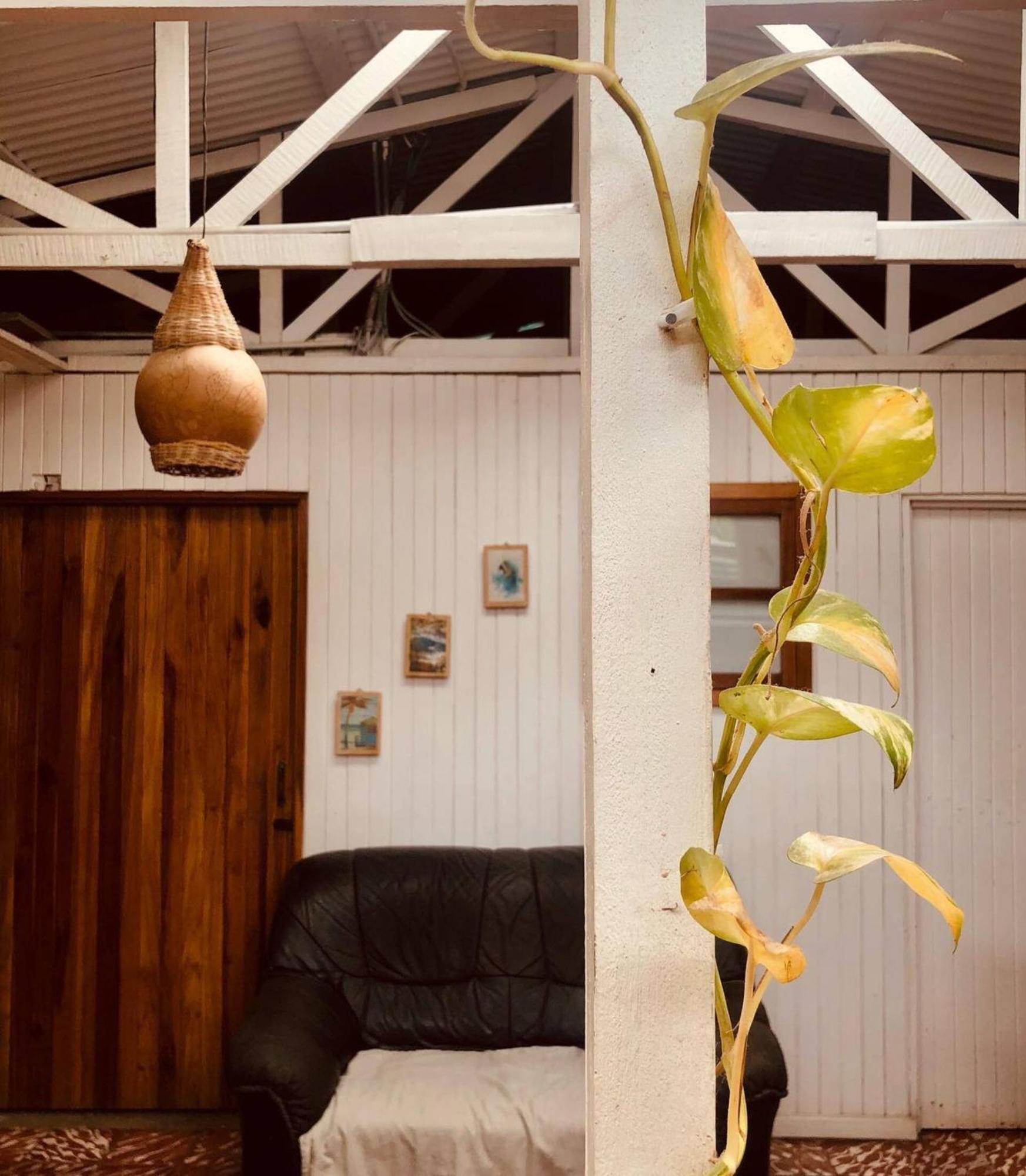 Roots Family Hostel Puerto Viejo de Talamanca ภายนอก รูปภาพ