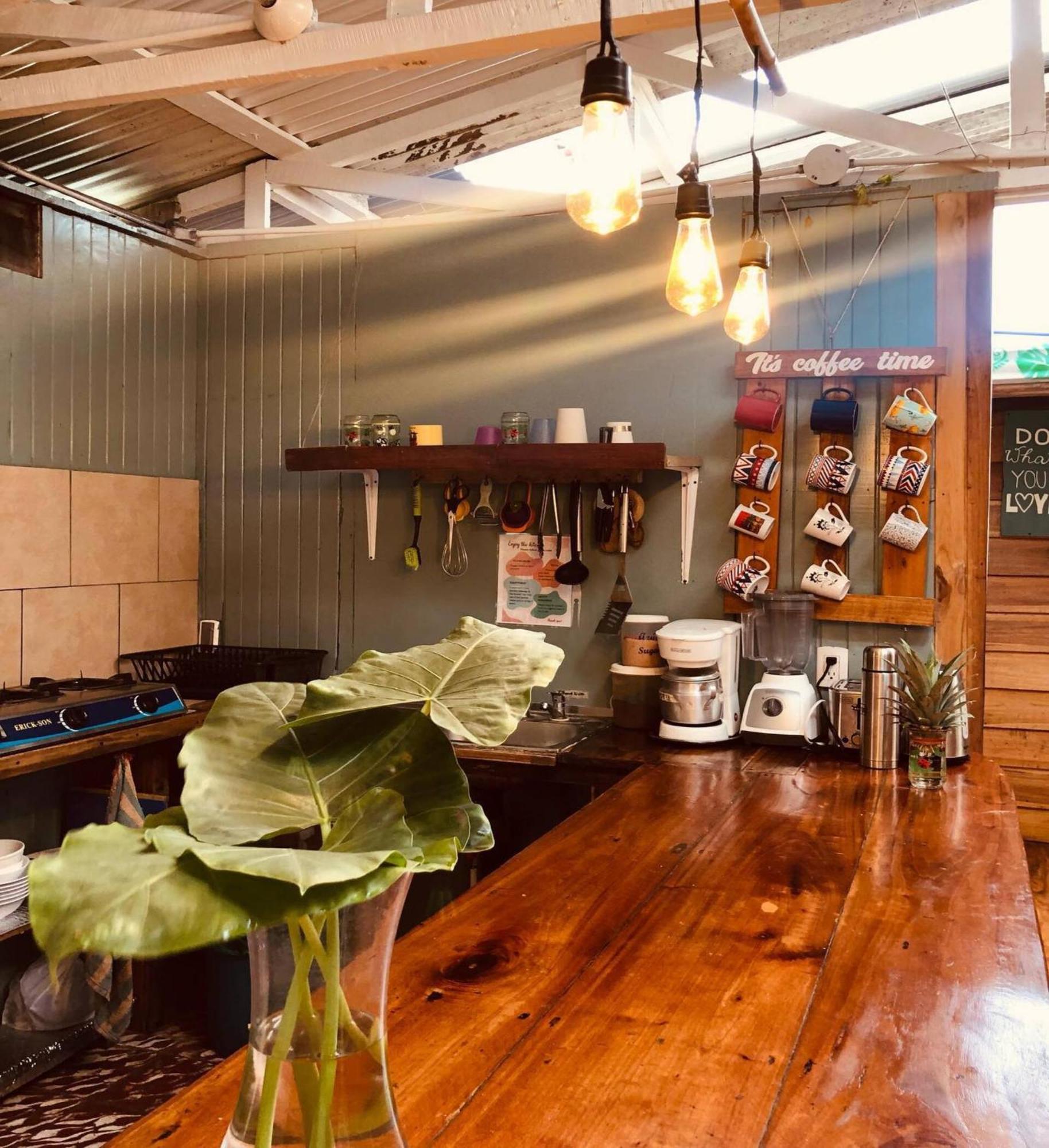 Roots Family Hostel Puerto Viejo de Talamanca ภายนอก รูปภาพ