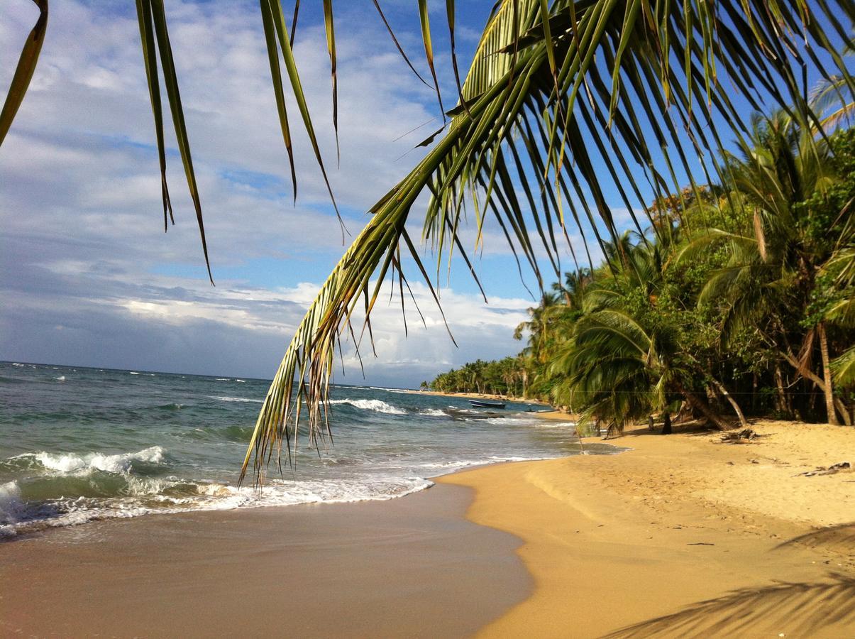 Roots Family Hostel Puerto Viejo de Talamanca ภายนอก รูปภาพ